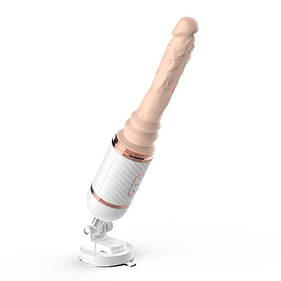 Introdução aos dildos
